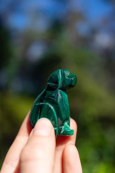 Malachite Dog